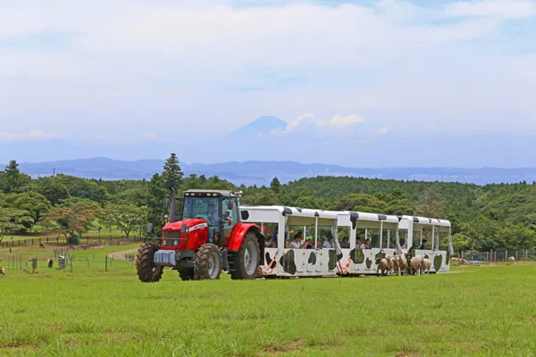 マザー牧場