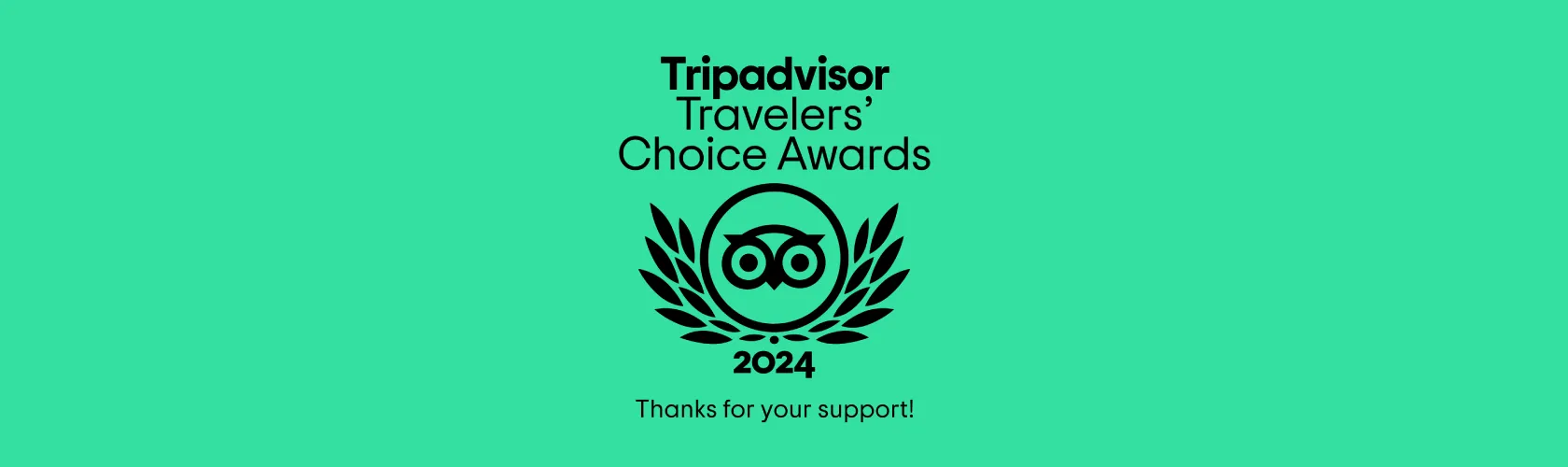 tripadvisor