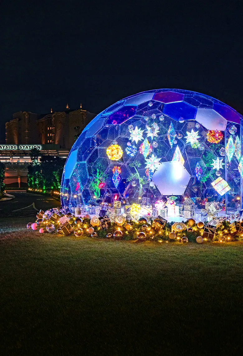 正面入り口前芝生ドーム装飾