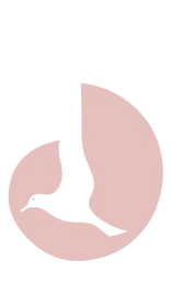 東京ディズニーリゾート